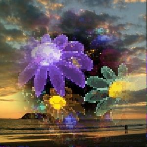 Meet your Posher, Celina